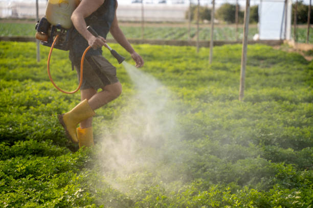 Best Affordable Pest Control Services  in Clarion, PA