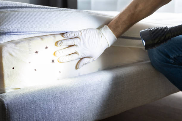 Best Pest Removal Services  in Clarion, PA